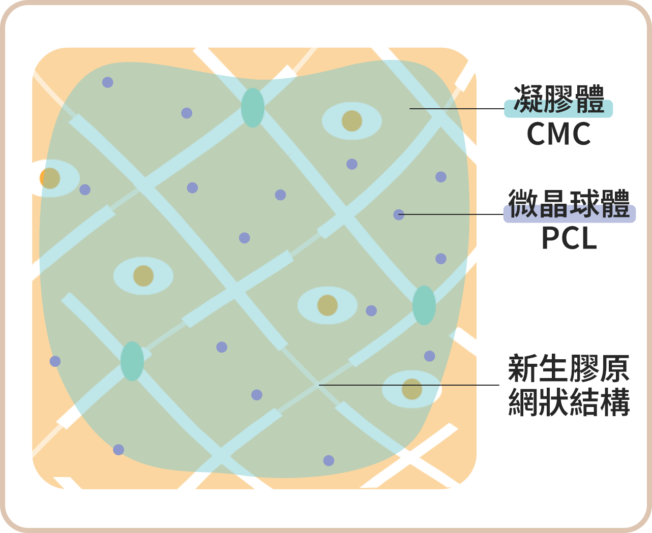 洢蓮絲注射原理_step.3