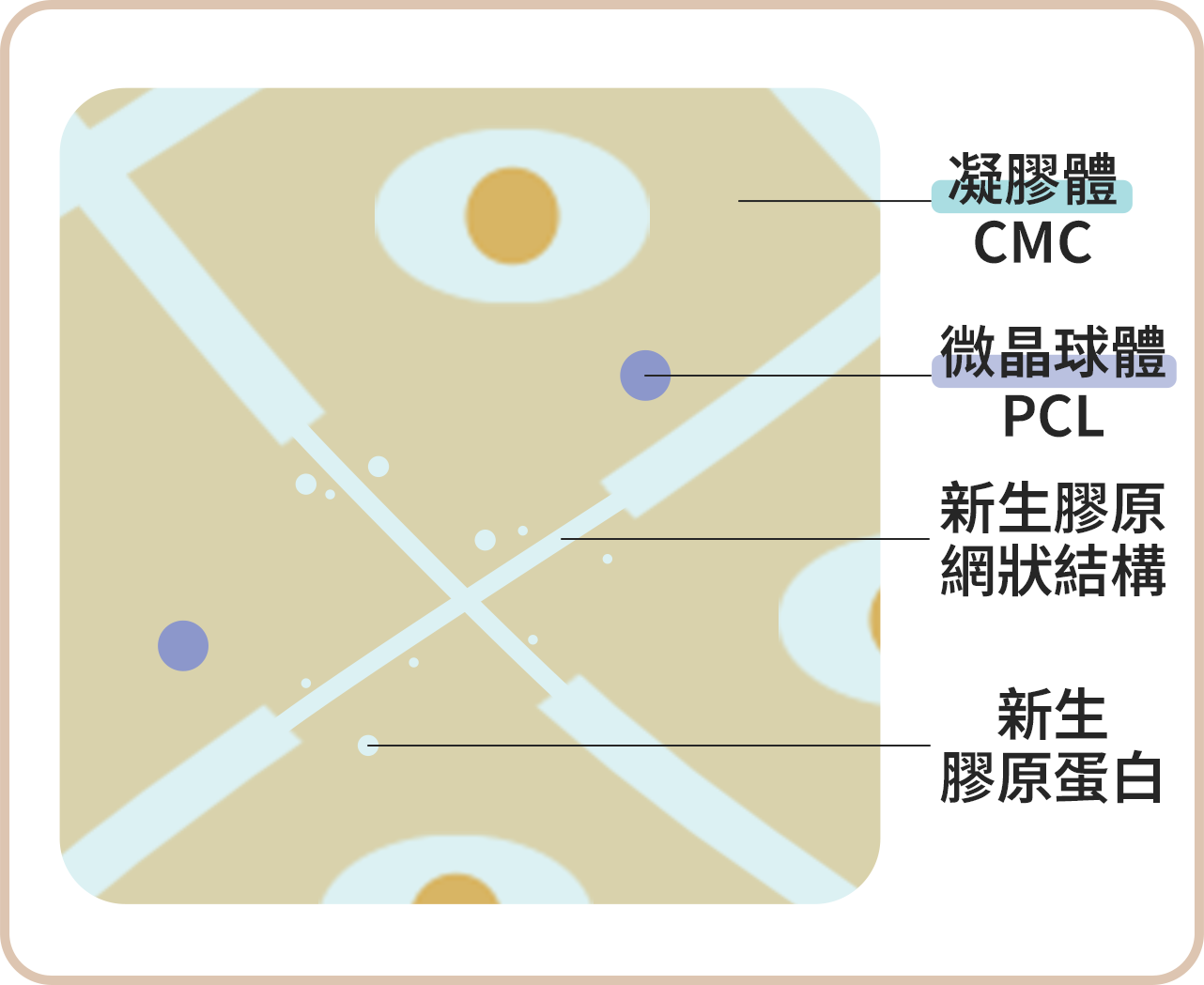 洢蓮絲注射原理_step.4