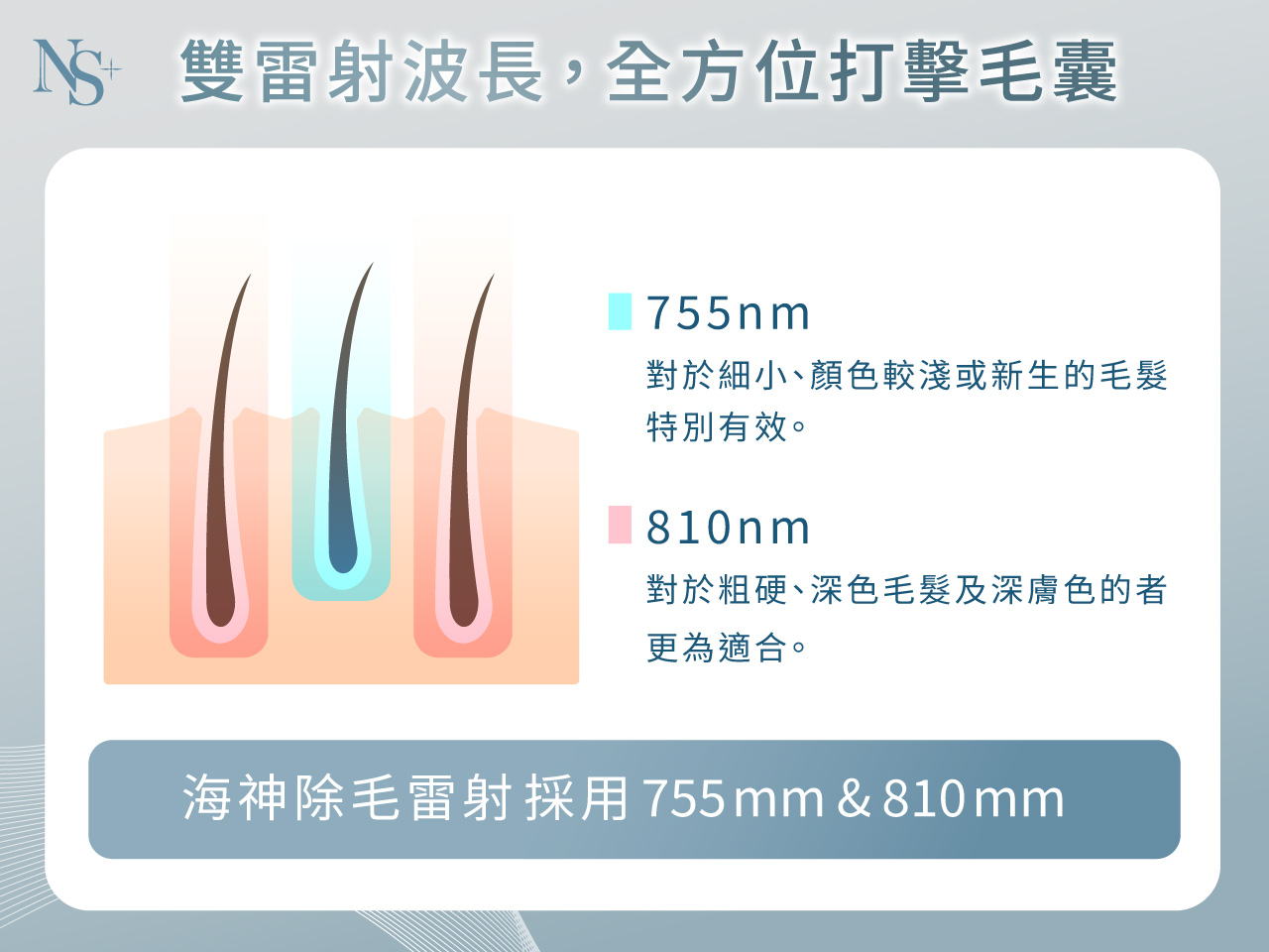 海神除毛流程_雙雷射波長