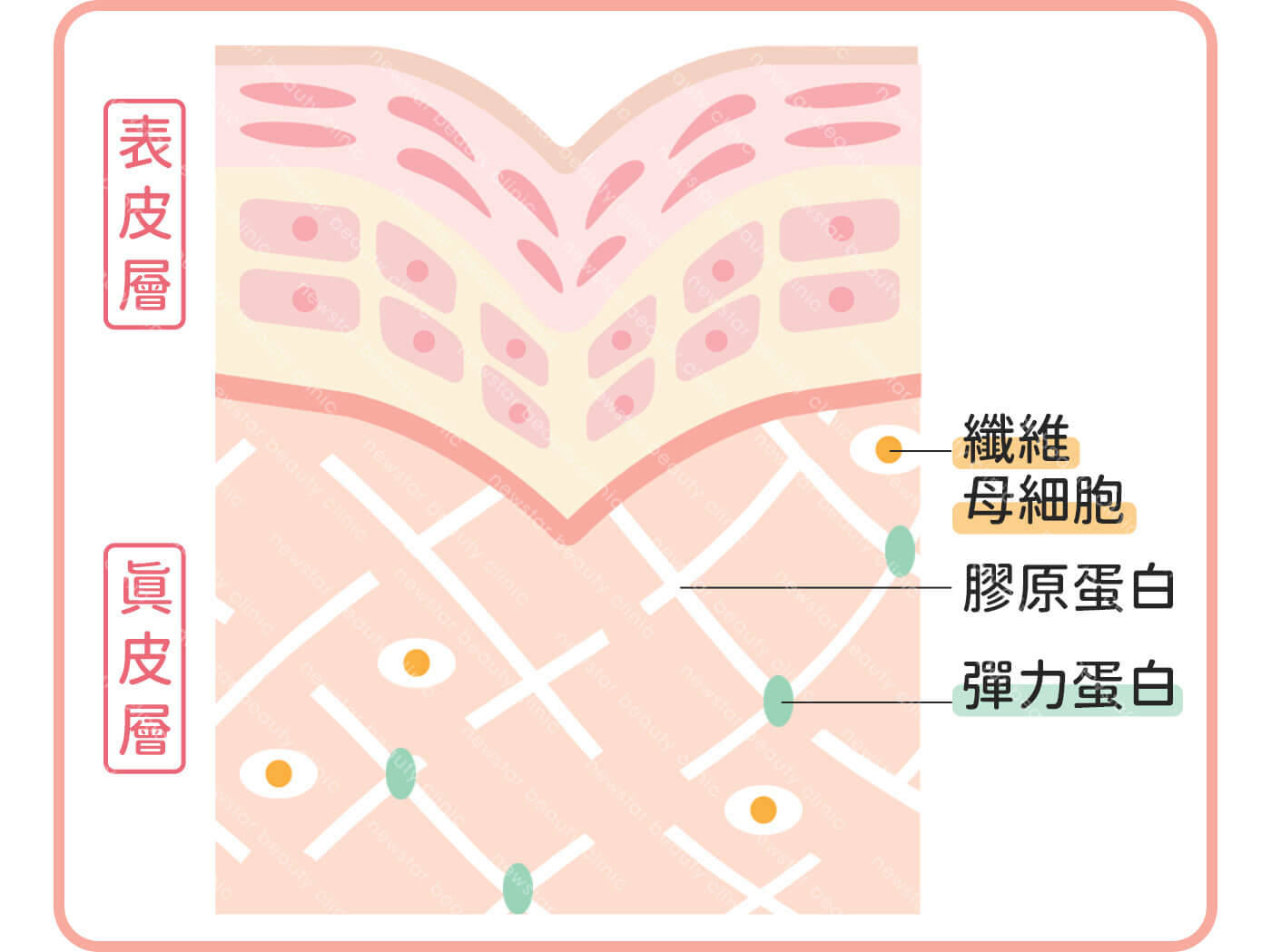 注射洢蓮絲少女針前，皮膚凹陷失去彈力