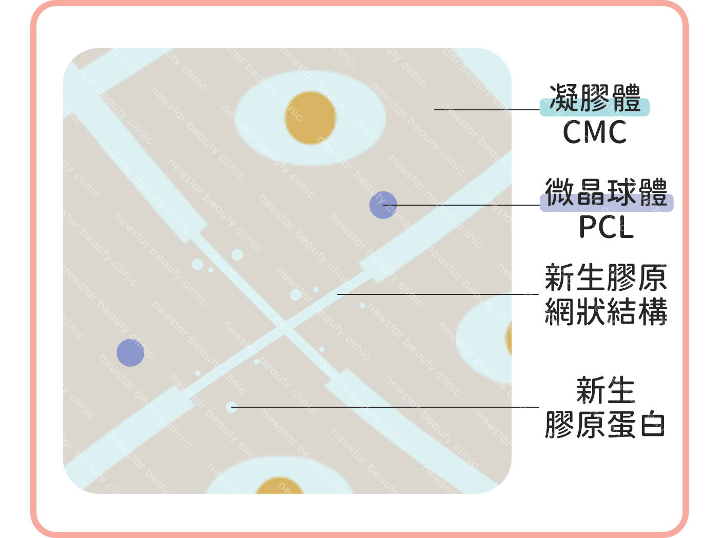 洢蓮絲少女針治療原理：凝膠體逐漸分解，膠原蛋白持續新生並附著於網狀結構