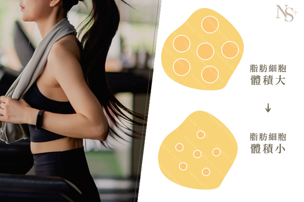 減肥瘦身