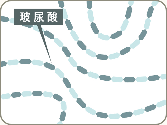 玻尿酸_無交聯劑
