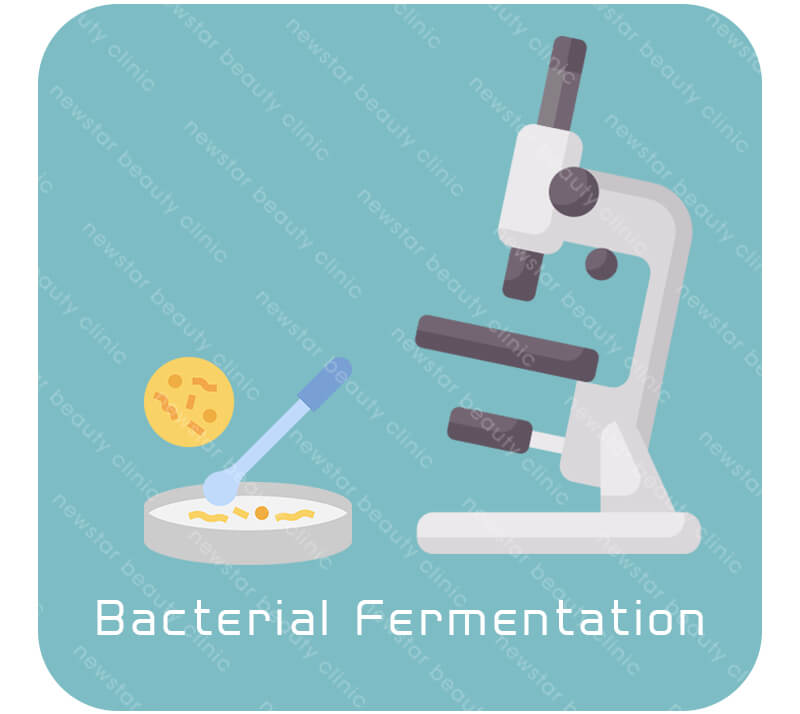 玻尿酸來源_細菌發酵