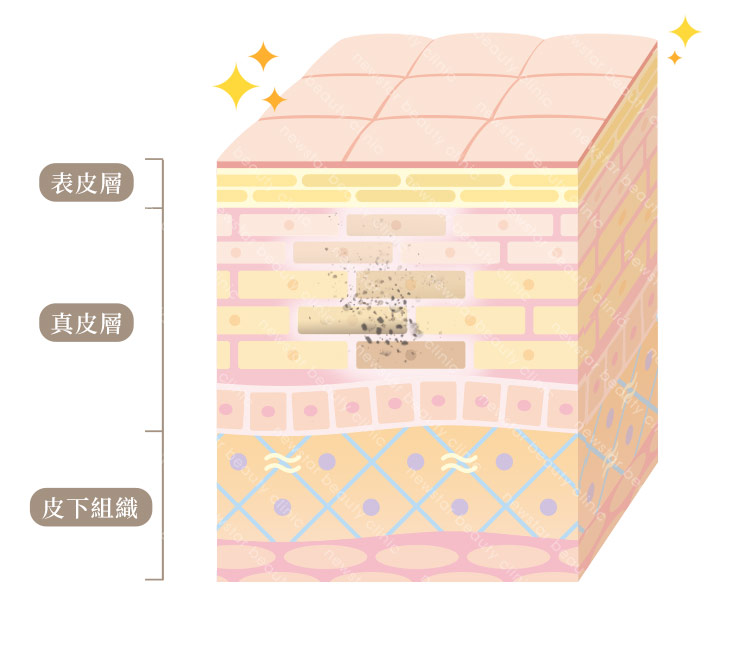 膠原蛋白熊貓針_原理圖新版03-1