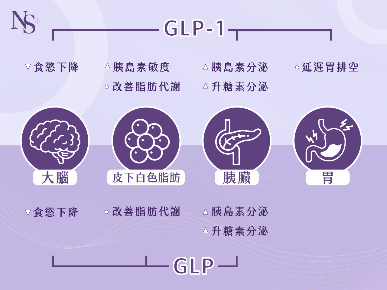 猛健樂_雙效劑型