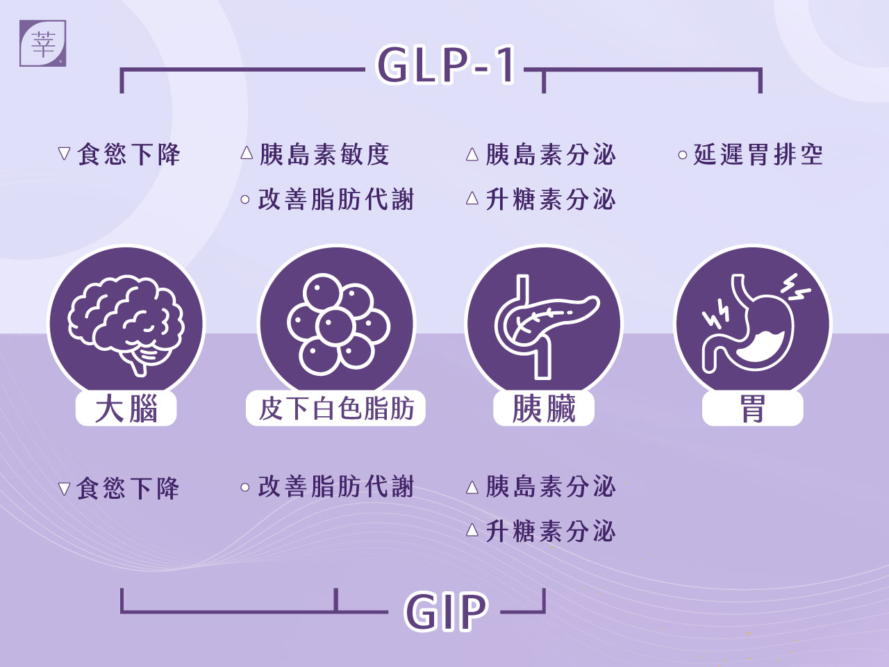 猛健樂_雙效劑型
