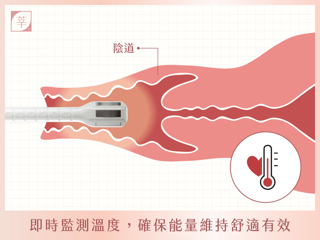 蝴蝶電波_智能控溫