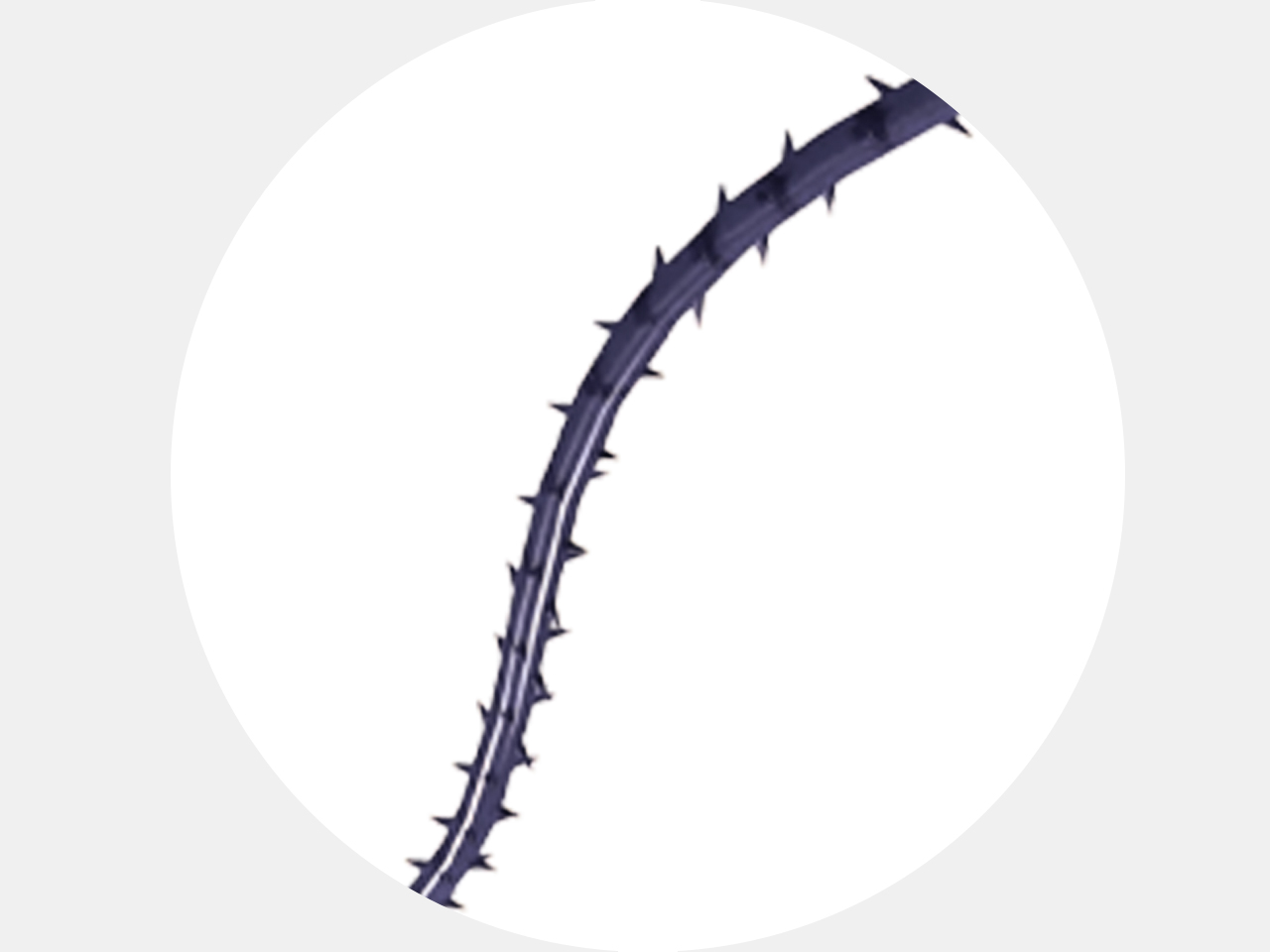 埋線拉提品牌比較_羽毛線