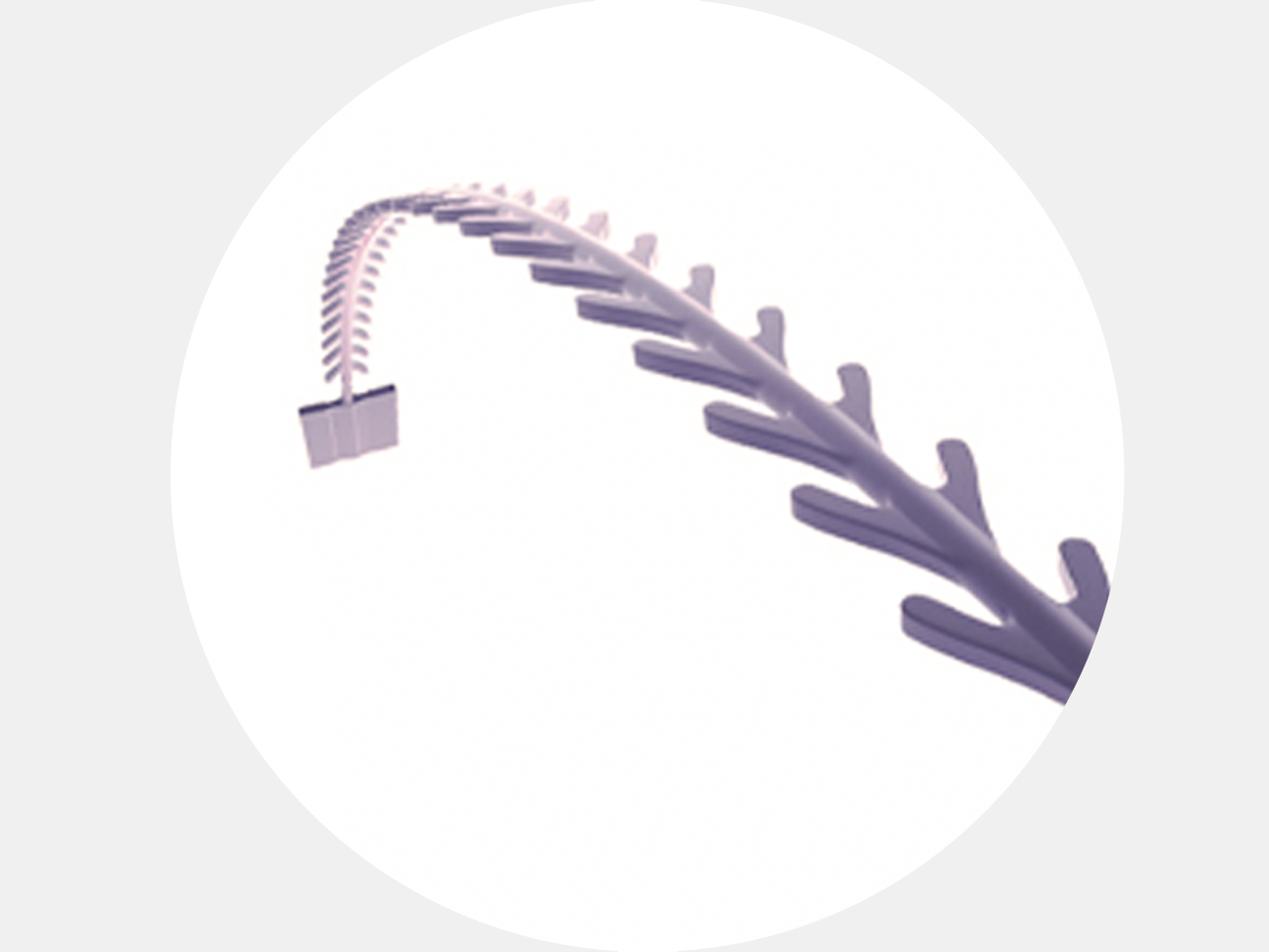 埋線拉提品牌比較_藍鑽魚骨線