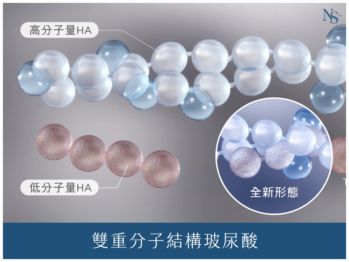 逆時針優勢_雙重分子玻尿酸